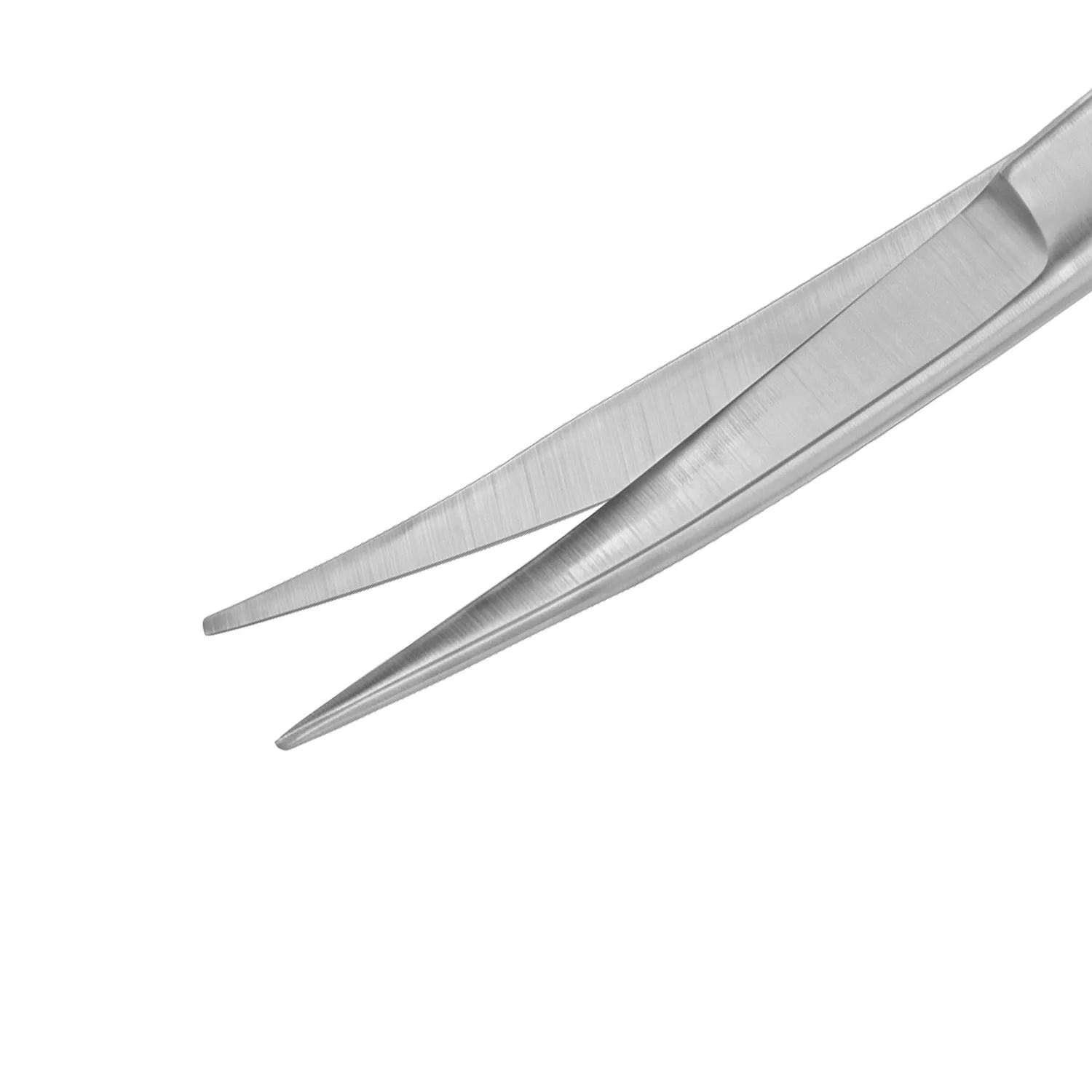 GOLDMAN FOX Gingiva saks, 13 cm, buet.2